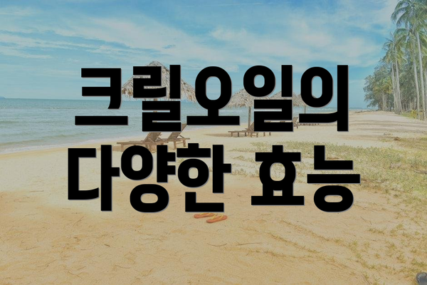 크릴오일의 다양한 효능