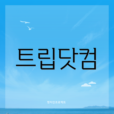 트립닷컴