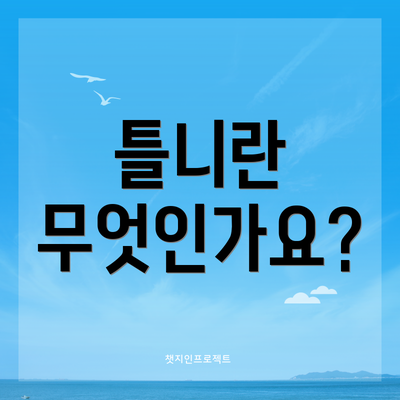 틀니란 무엇인가요?