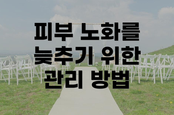 피부 노화를 늦추기 위한 관리 방법