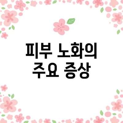 피부 노화의 주요 증상