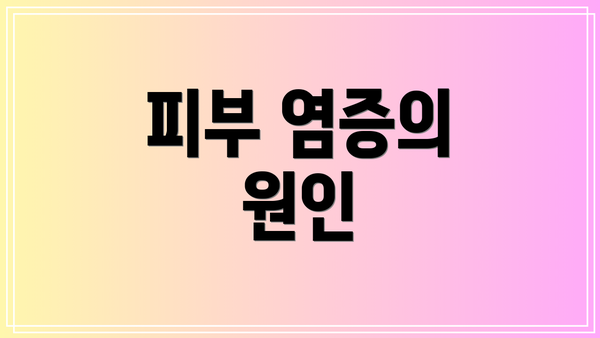 피부 염증의 원인