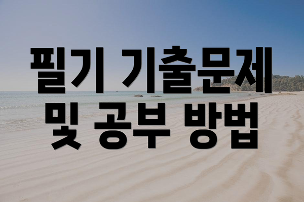 필기 기출문제 및 공부 방법