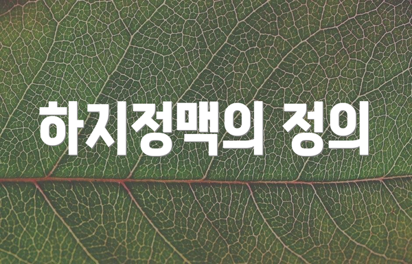 하지정맥의 정의