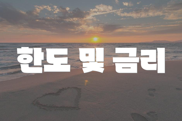 한도 및 금리