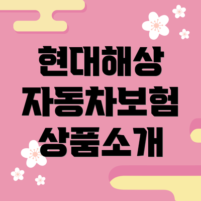현대해상 자동차보험 상품소개