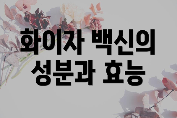 화이자 백신의 성분과 효능