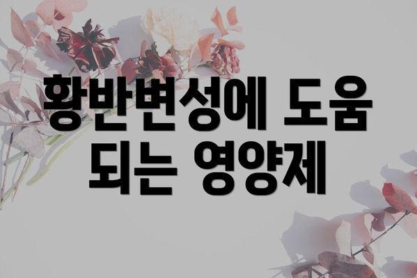 황반변성에 도움 되는 영양제