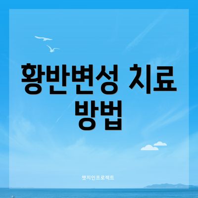 황반변성 치료 방법
