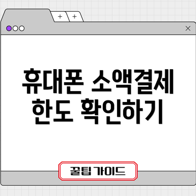 휴대폰 소액결제 한도 확인하기