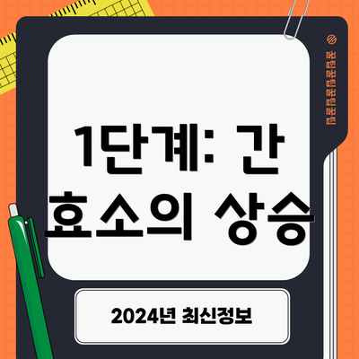 1단계: 간 효소의 상승