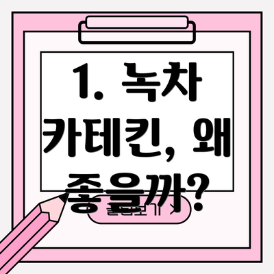 1. 녹차 카테킨, 왜 좋을까?