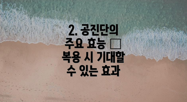 2. 공진단의 주요 효능 – 복용 시 기대할 수 있는 효과