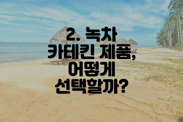 2. 녹차 카테킨 제품, 어떻게 선택할까?