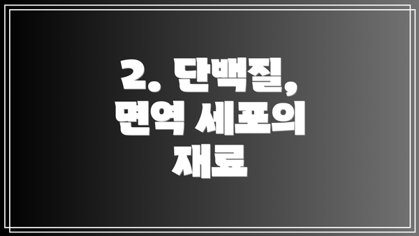2. 단백질, 면역 세포의 재료