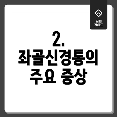 2. 좌골신경통의 주요 증상