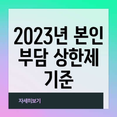 2023년 본인 부담 상한제 기준