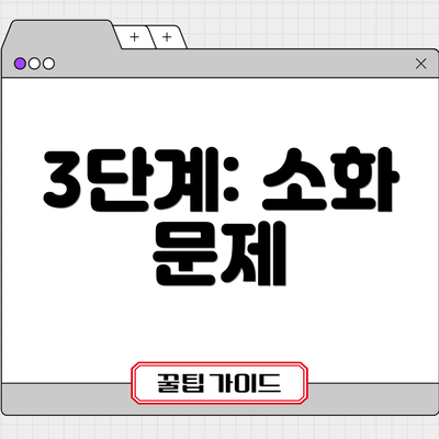 3단계: 소화 문제