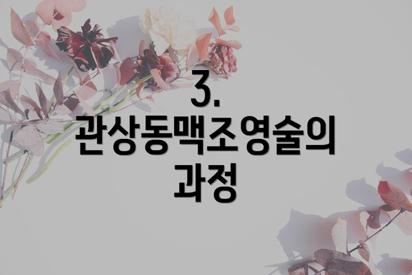 3. 관상동맥조영술의 과정