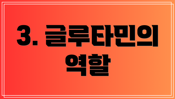 3. 글루타민의 역할