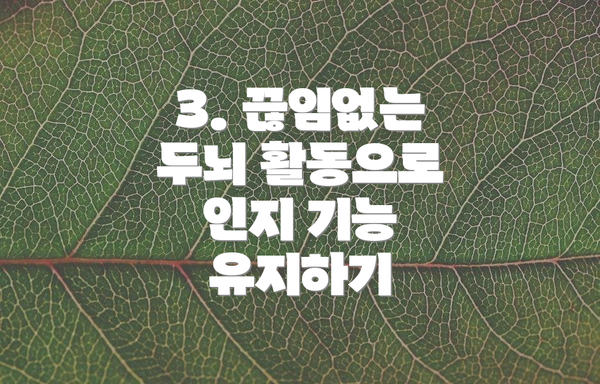 3. 끊임없는 두뇌 활동으로 인지 기능 유지하기