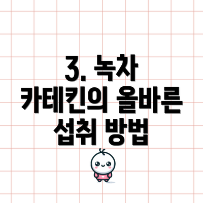 3. 녹차 카테킨의 올바른 섭취 방법