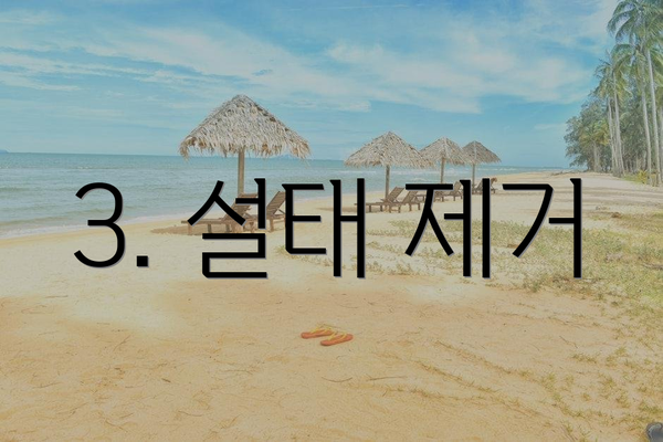 3. 설태 제거