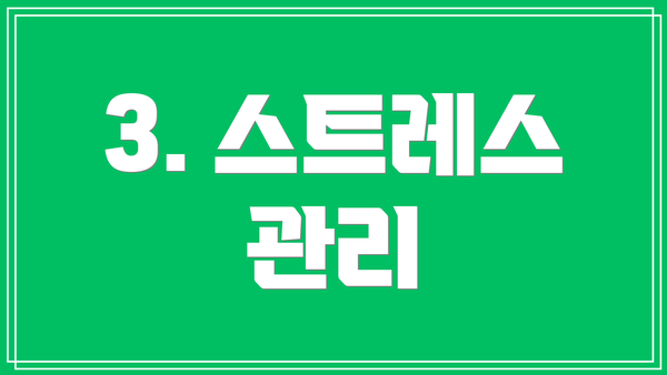 3. 스트레스 관리