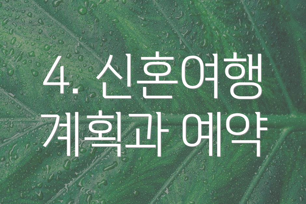 4. 신혼여행 계획과 예약