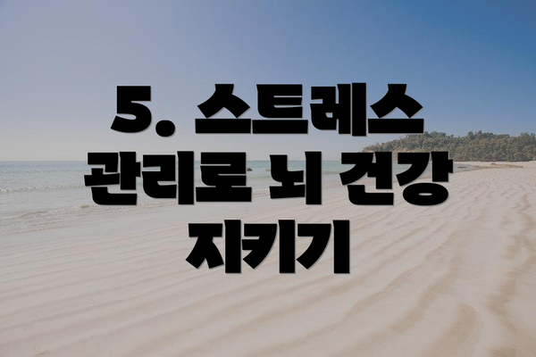 5. 스트레스 관리로 뇌 건강 지키기