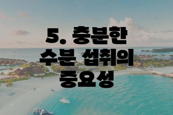 5. 충분한 수분 섭취의 중요성
