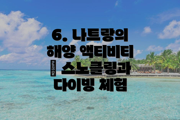 6. 나트랑의 해양 액티비티 – 스노클링과 다이빙 체험