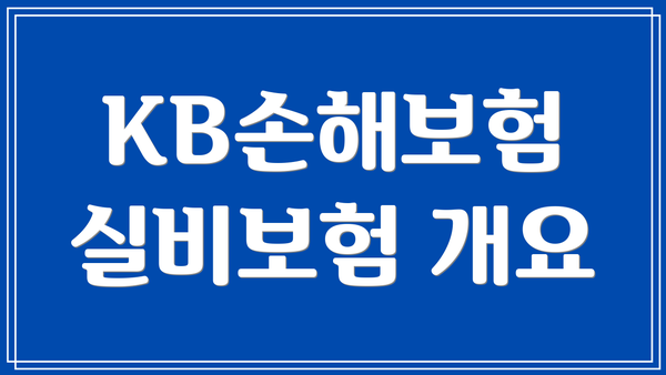 KB손해보험 실비보험 개요