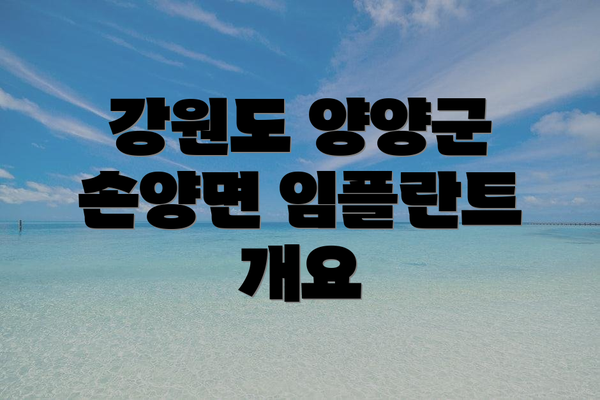 강원도 양양군 손양면 임플란트 개요