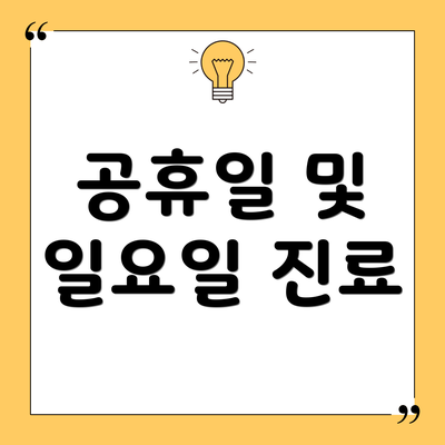 공휴일 및 일요일 진료