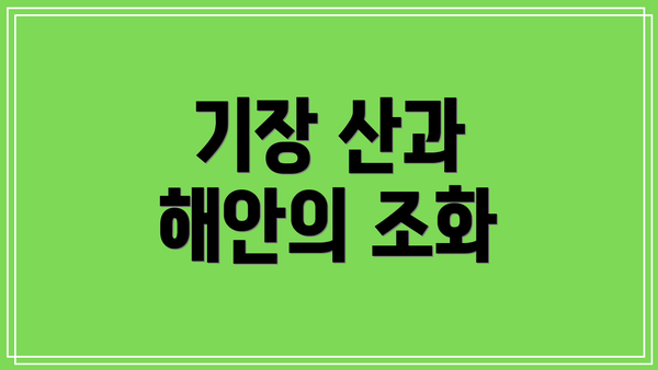 기장 산과 해안의 조화