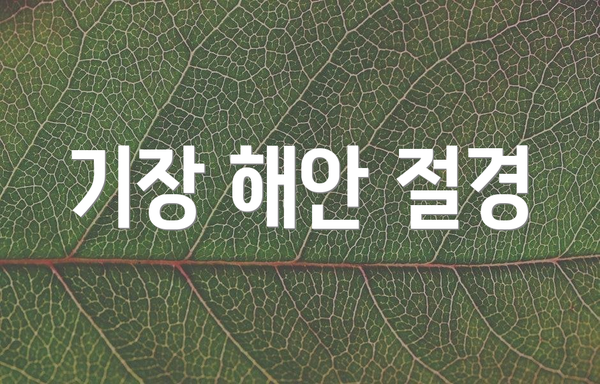 기장 해안 절경