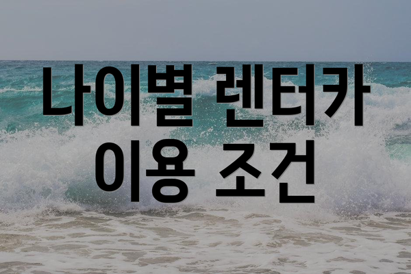 나이별 렌터카 이용 조건