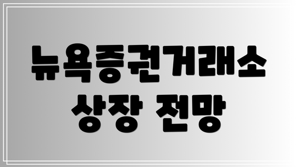뉴욕증권거래소 상장 전망
