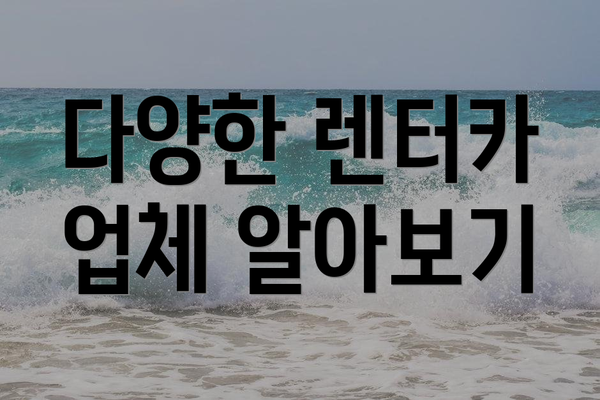 다양한 렌터카 업체 알아보기
