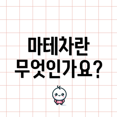 마테차란 무엇인가요?
