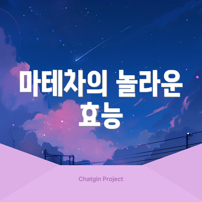 마테차의 놀라운 효능