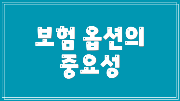 보험 옵션의 중요성