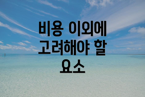 비용 이외에 고려해야 할 요소