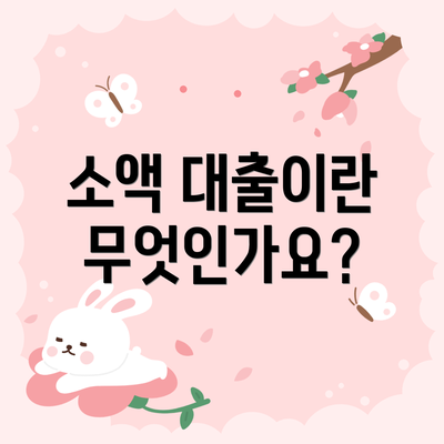 소액 대출이란 무엇인가요?