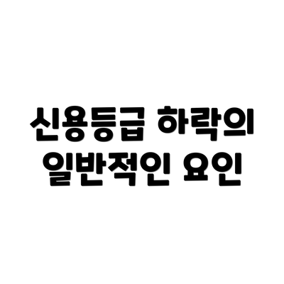 신용등급 하락의 일반적인 요인