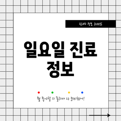 일요일 진료 정보