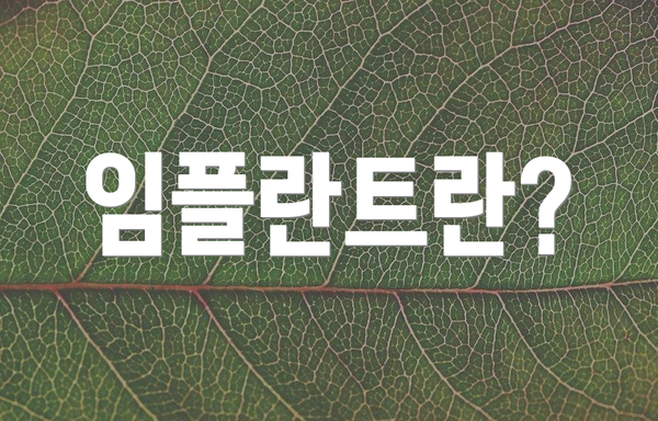 임플란트란?