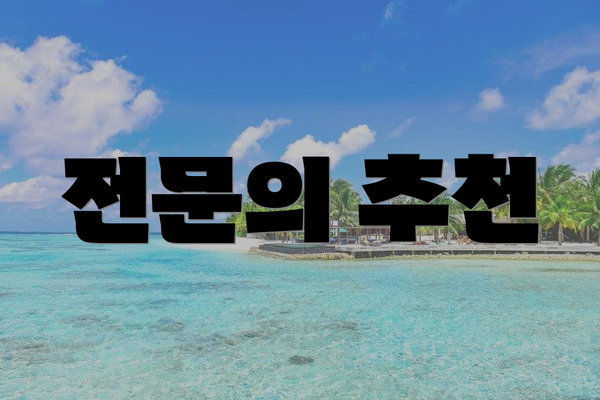 전문의 추천