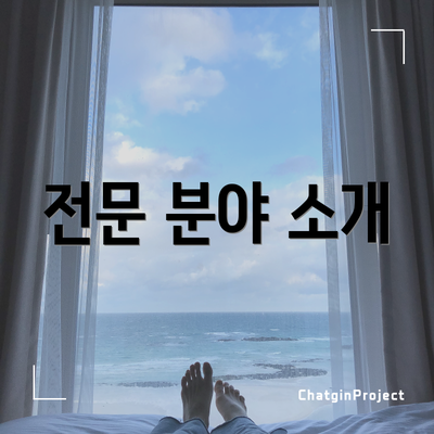 전문 분야 소개